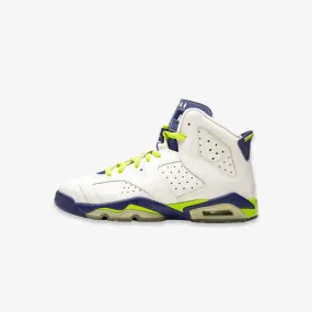 Multi Terrain Grip Multi-Terrain (GS) Air Jordan 6 Retro 'Seahawks' (2014) 543390-108