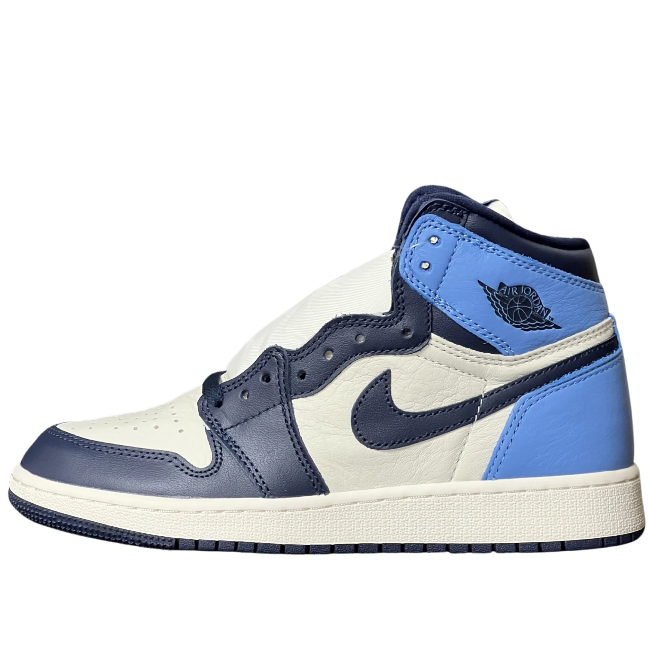 Garden Walk Nike Air Jordan 1 High Obsidian GS