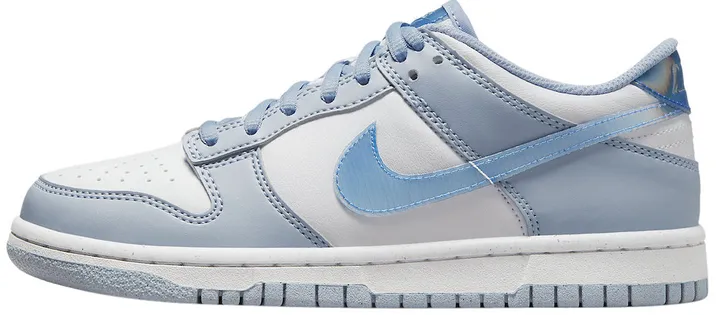 Snow Ride Ergonomic Cold Weather Nike Dunk Low Next Blue Whisper Iridescent (GS)