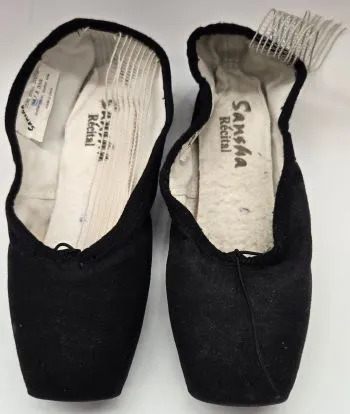Recital -- Pointe Shoe -- Black Canvas Foot Support Winter Chill