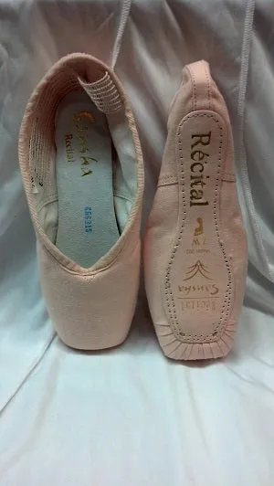 Recital -- Pointe Shoe -- Pink Canvas Dad Pick