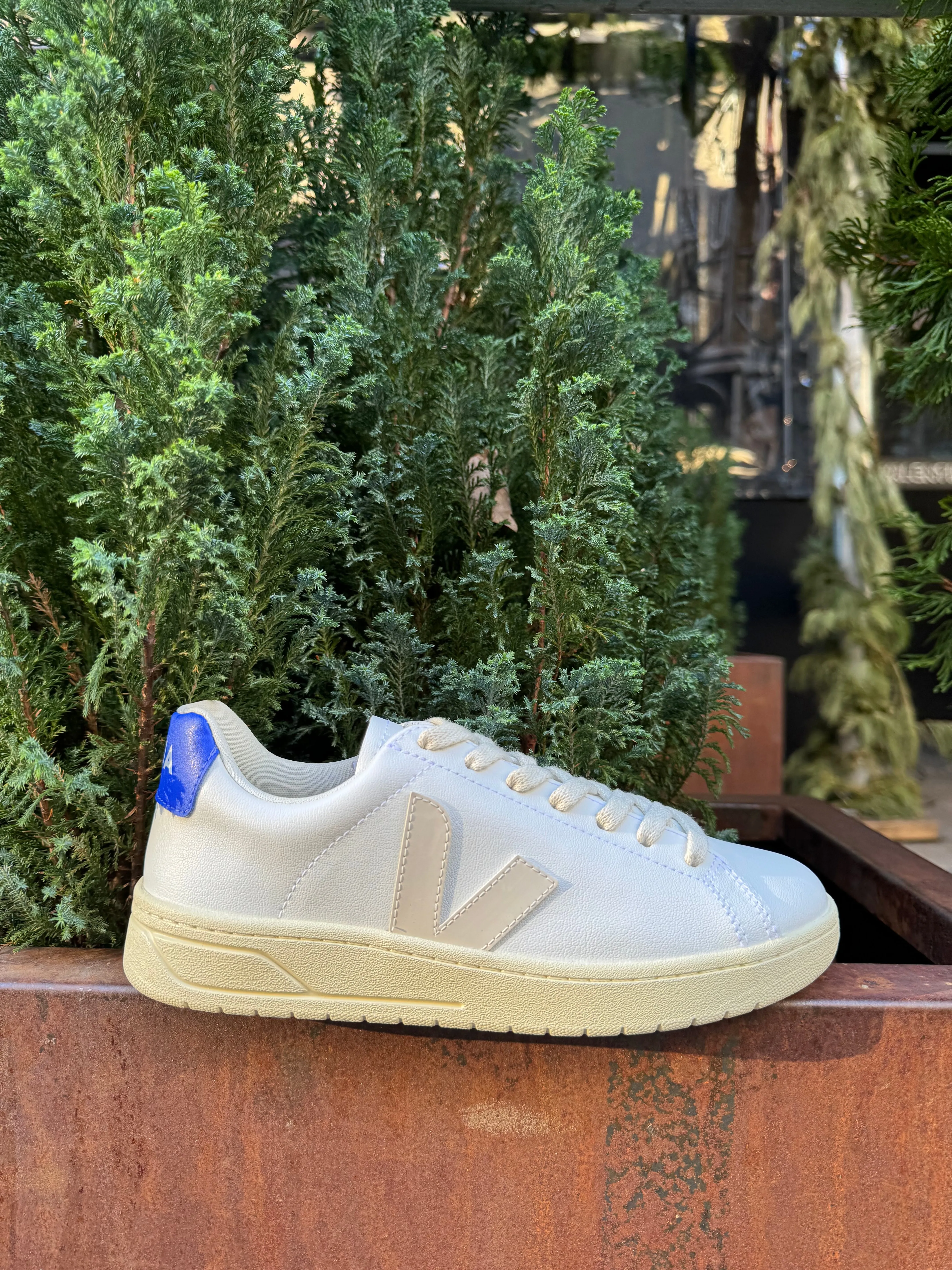 Urca CWL in White Pierre from Veja Street Cool